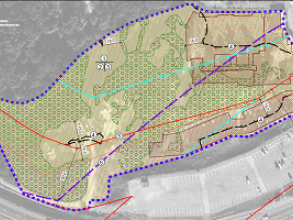 Выполнение работ по определению возможности и условий размещения объектов рекреационного назначения на лесном участке площадью 2,65 га, расположенного по адресу: Московская область, Одинцовский муниципальный район, Звенигородское лесничество, Подушкинское участковое лесничество